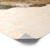 Albrecht Dürer - Junger Hase (Young Hare), 1502 Poster (Ecke)