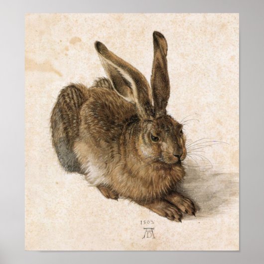 Albrecht Dürer - Junger Hase (Young Hare), 1502 Poster (Vorne)