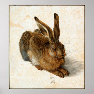 ALBRECHT DÜRER - Junghase 1502 Poster