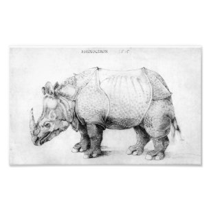 Albrecht Durer Rhinoceros Fotodruck