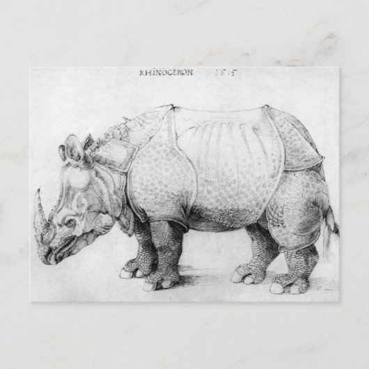 Albrecht Durer Rhinoceros Postcard Postkarte (Vorderseite)