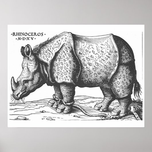 Albrecht Durer - Rhinoceros Poster (Vorne)