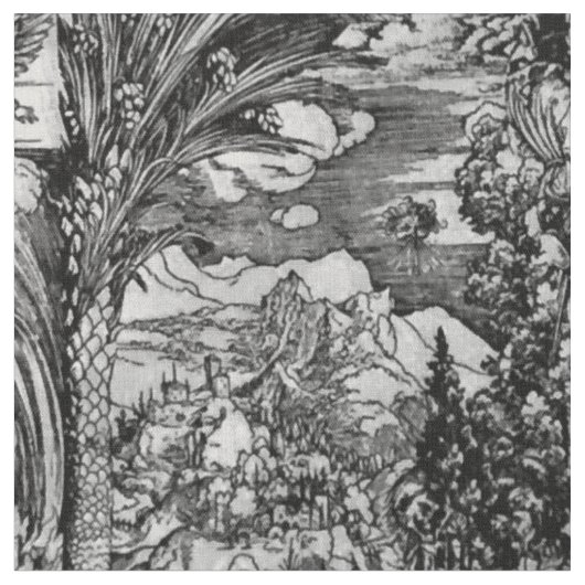 Albrecht Dürer Schwarzweiss Stoff (Nahaufnahme)