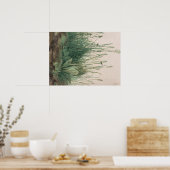 Albrecht Durer Sketch Poster (Küche)