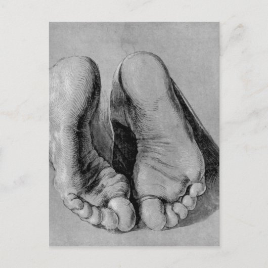 Albrecht Durer Sketch Postkarte (Vorderseite)