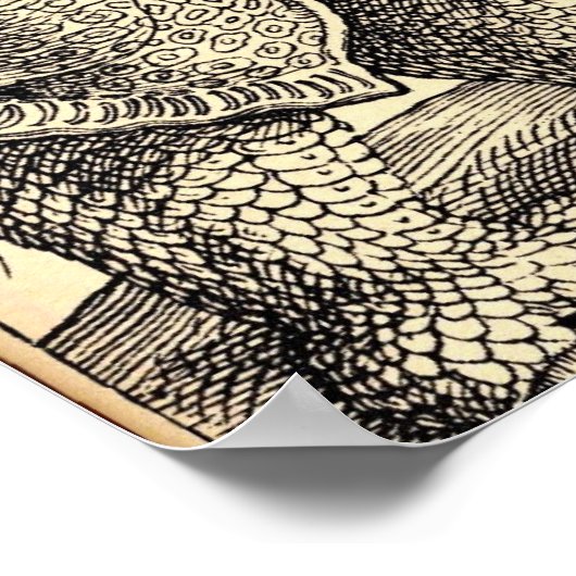 Albrecht Durer Sketching Poster (Ecke)