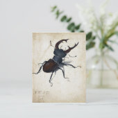 Albrecht Dürer Stag Beetle Postkarte (Stehend Vorderseite)
