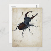 Albrecht Dürer Stag Beetle Postkarte (Vorne/Hinten)