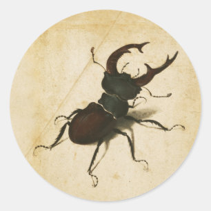 Albrecht Durer Stag Beetle Vintage Kunst der Renai Runder Aufkleber
