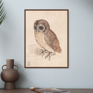 Albrecht Durer The Little Owl Art Poster
