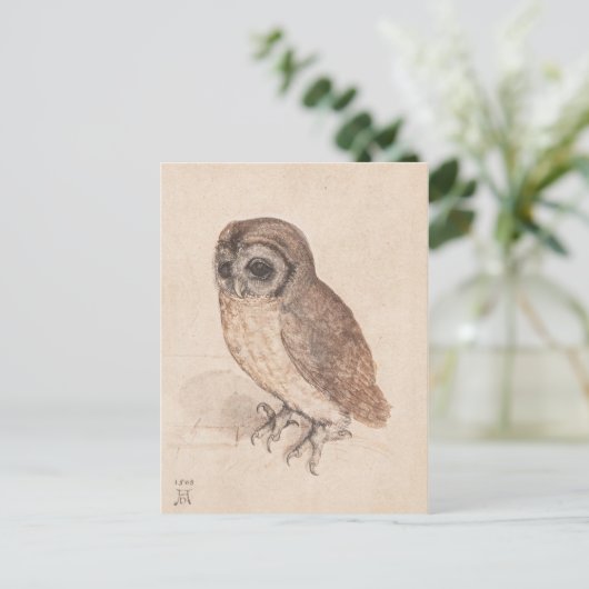 Albrecht Durer The Little Owl Art Postkarte (Stehend Vorderseite)