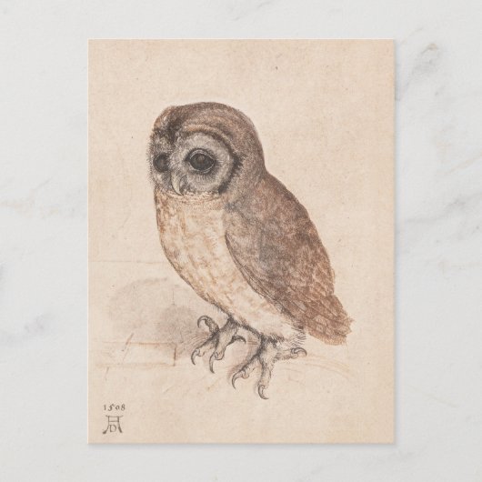Albrecht Durer The Little Owl Art Postkarte (Vorderseite)