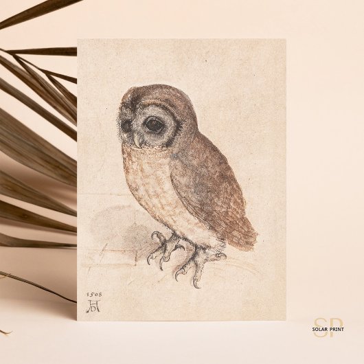 Albrecht Durer The Little Owl Art Postkarte