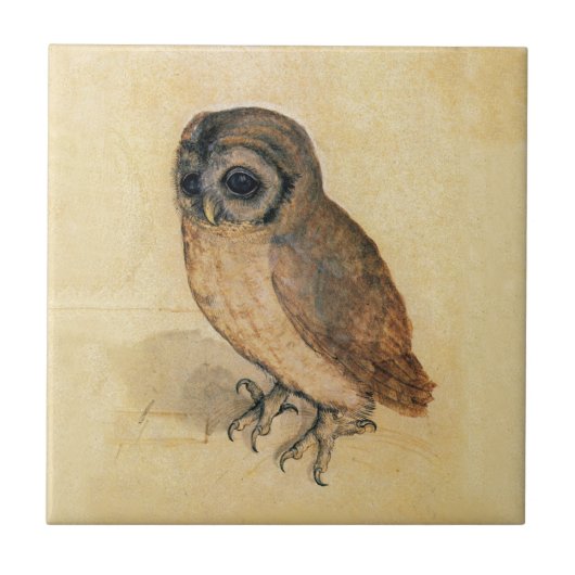 Albrecht Durer The Little Owl Fliese (Vorderseite)