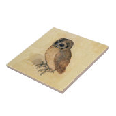 Albrecht Durer The Little Owl Fliese (Seite)