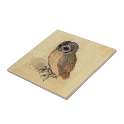 Albrecht Durer The Little Owl Fliese (Seite)