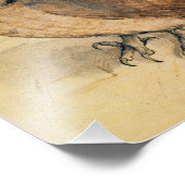 Albrecht Durer The Little Owl Fotodruck (Ecke)