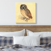 Albrecht Durer The Little Owl Leinwanddruck (Insitu (Schlafzimmer))