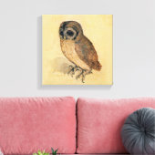 Albrecht Durer The Little Owl Leinwanddruck (Insitu (Wohnzimmer))