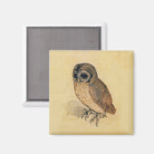 Albrecht Durer The Little Owl Magnet (Vorderseite/Rückseite)