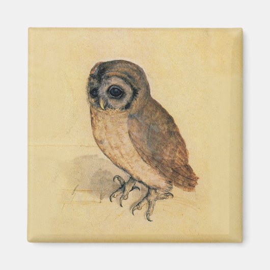 Albrecht Durer The Little Owl Magnet (Vorne)
