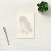 Albrecht Durer The Little Owl Post-it Klebezettel (Büro)