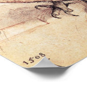 Albrecht Durer The Little Owl Poster (Ecke)