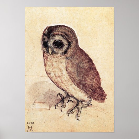 Albrecht Durer The Little Owl Poster (Vorne)