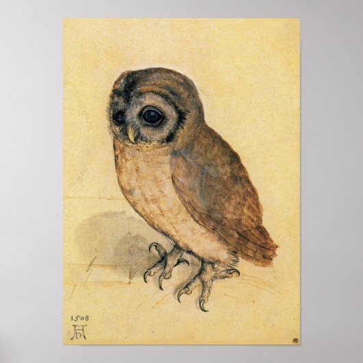 Albrecht Durer The Little Owl Poster (Vorne)