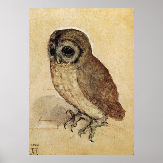 Albrecht Durer The Little Owl Poster (Vorne)
