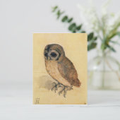 Albrecht Durer The Little Owl Postkarte (Stehend Vorderseite)