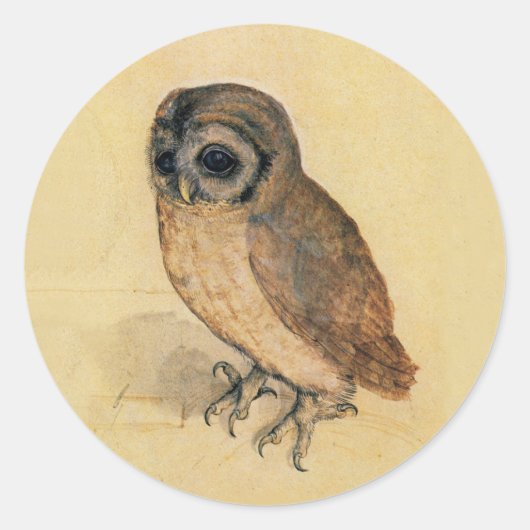 Albrecht Durer The Little Owl Runder Aufkleber (Vorderseite)