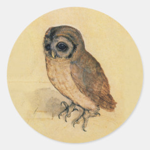 Albrecht Durer The Little Owl Runder Aufkleber