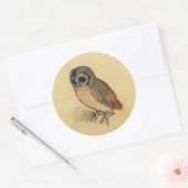 Albrecht Durer The Little Owl Runder Aufkleber (Umschlag)