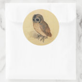 Albrecht Durer The Little Owl Runder Aufkleber (Tasche)