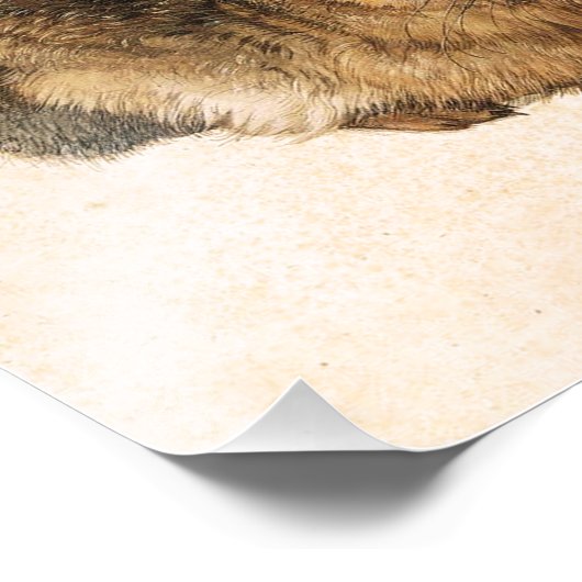 Albrecht Durer Young Hare Fotodruck (Ecke)