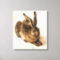 Albrecht Durer Young Hare