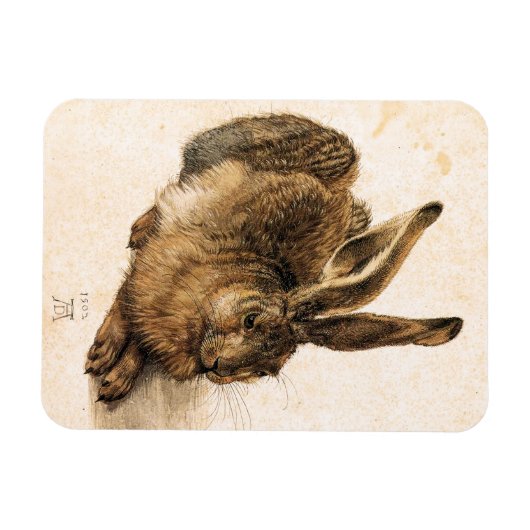 Albrecht Durer Young Hare Magnet (Horizontal)