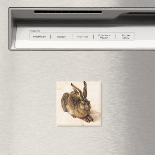 Albrecht Durer Young Hare Magnet (In Situ (Geschirrspüler))