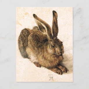 Albrecht Durer Young Hare Postcard Postkarte