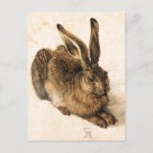 Albrecht Durer Young Hare Postcard Postkarte (Vorderseite)