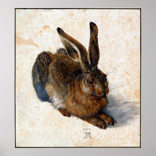 Albrecht Durer Young Hare Poster (Vorne)