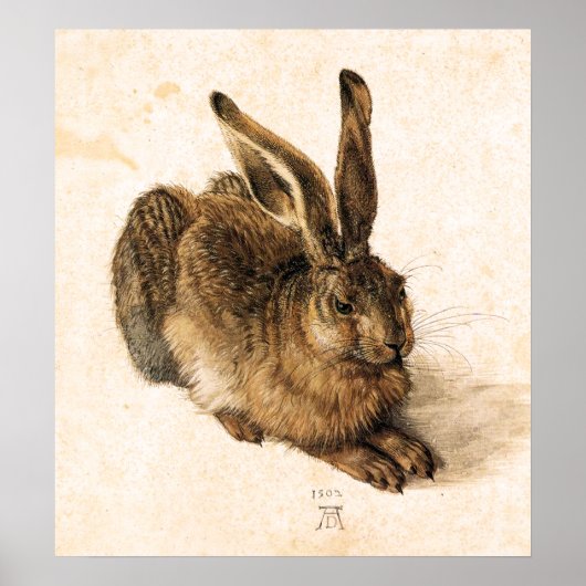 Albrecht Durer Young Hare Poster (Vorne)