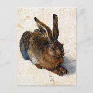 Albrecht Dürer Young Hare Postkarte