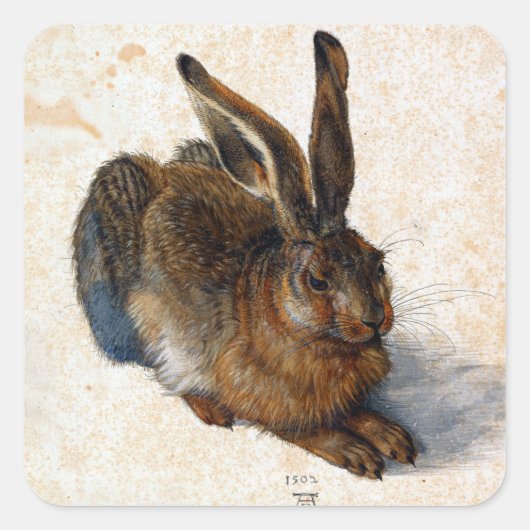 Albrecht Dürer Young Hare Quadratischer Aufkleber (Vorderseite)