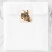 Albrecht Durer Young Hare Stickers (Tasche)