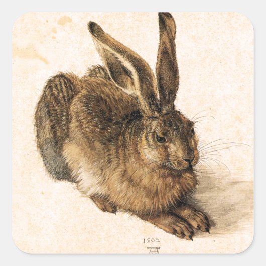 Albrecht Durer Young Hare Stickers (Vorderseite)