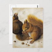 Albrecht Durer - Zwei Eichhörnchen, einer isst ein Postkarte (Vorne/Hinten)
