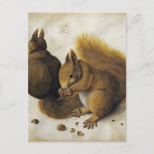 Albrecht Durer - Zwei Eichhörnchen, einer isst ein Postkarte (Vorderseite)