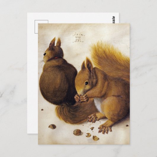 Albrecht Dürer, zwei Eichhörnchen _ Kunst Herbst Postkarte (Vorne/Hinten)